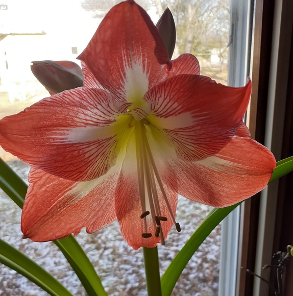 linda71249